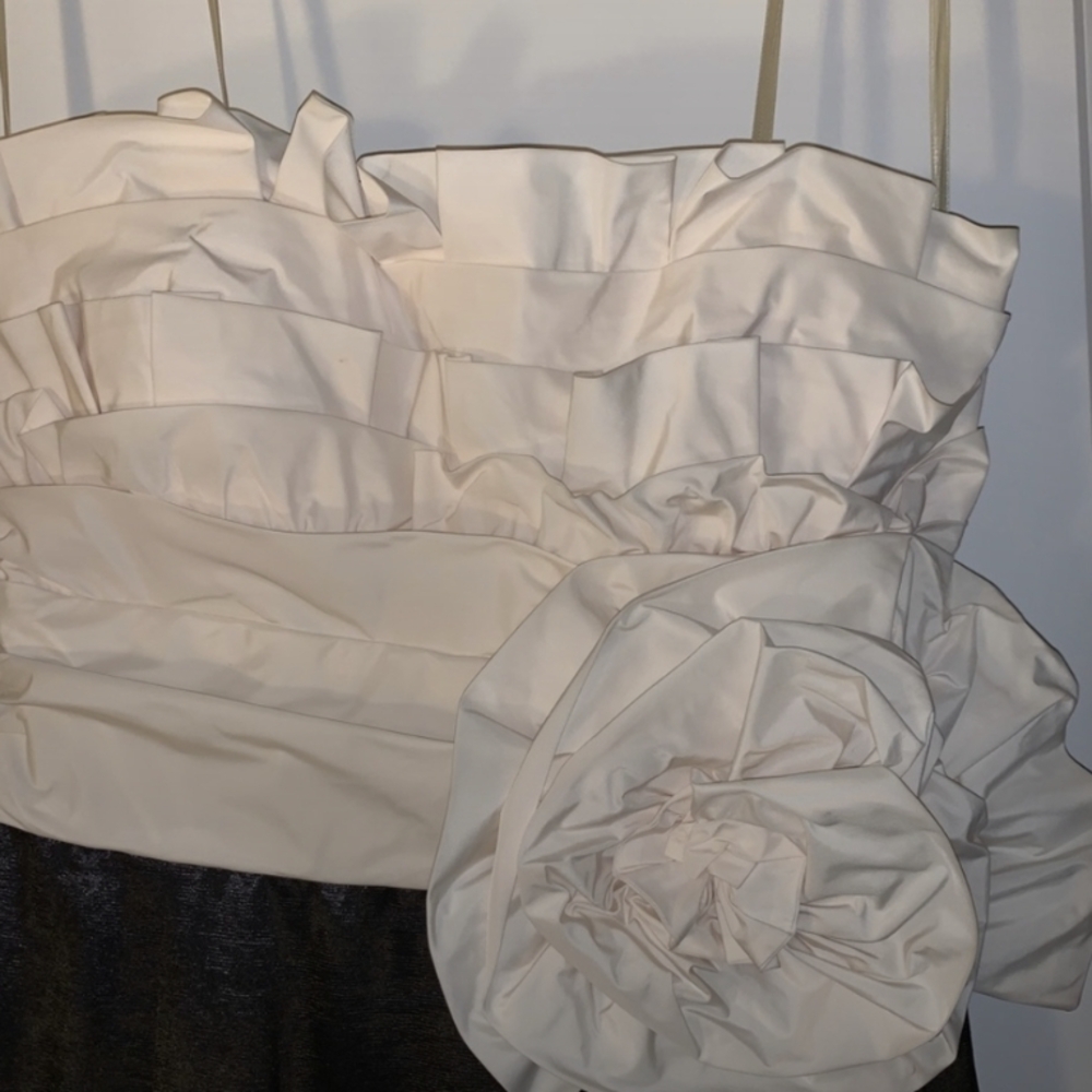 Max And Cleo Size 8 Elegant Black and Cream Strapless Dress - Picture 4 of 6